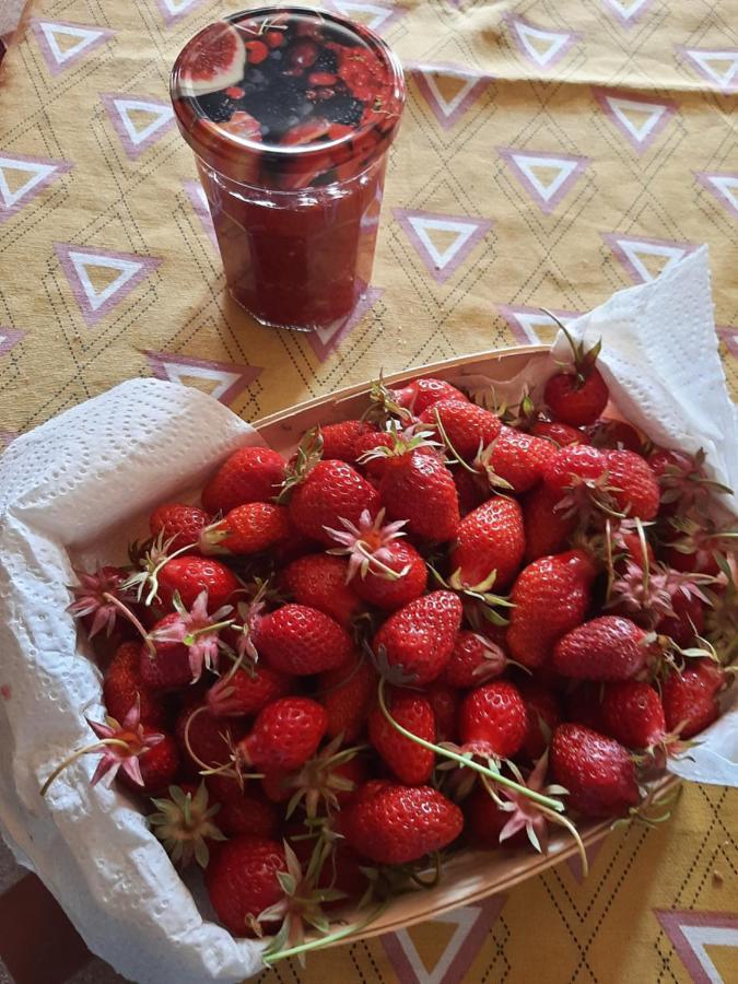 Notre Village Papillon Bed&Breakfast Neret 外观 照片